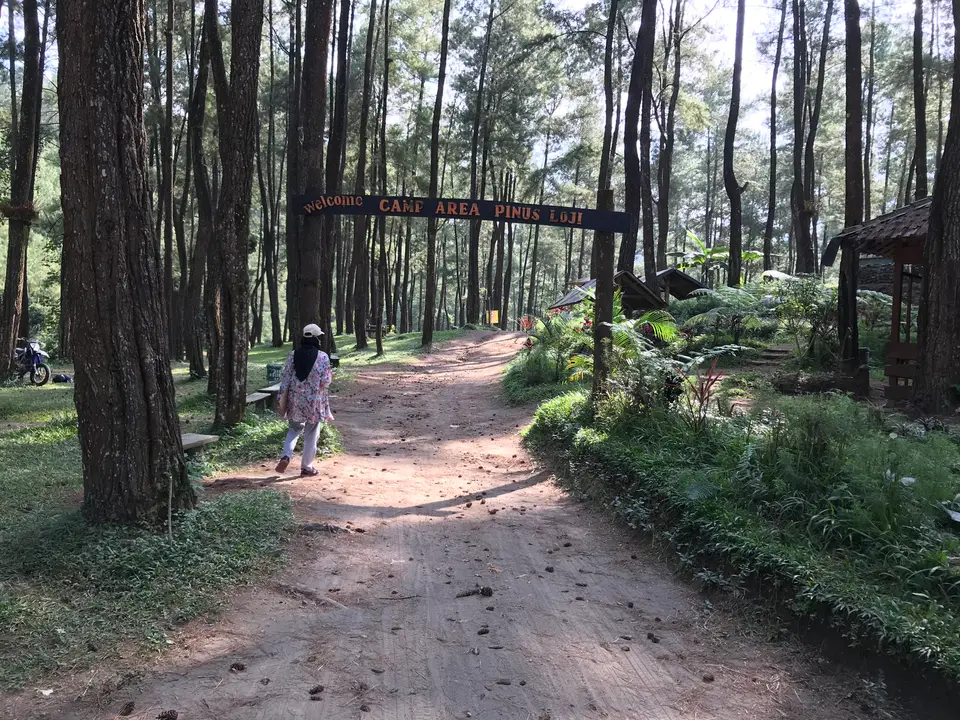 Jalan tanah di bawah hutan pinus Desa Tulungrejo, lokasi survei AWD tahun 2021
