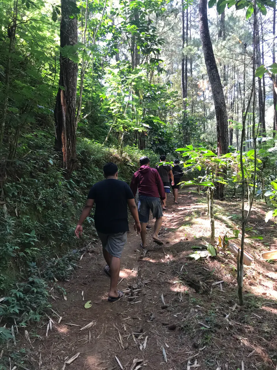 Tim AWD menyusuri jalan setapak di hutan Desa Tulungrejo